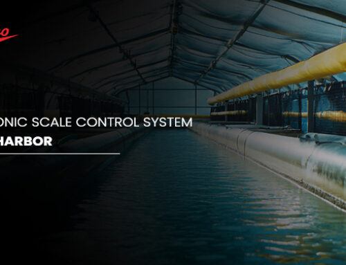 Electronic Scale Control System -Scale Harbor