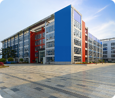 Frame 1000007076 (1)