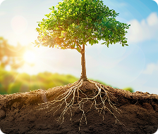 Frame 1000007076 (3)