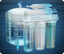 Frame 1000007076 (5)